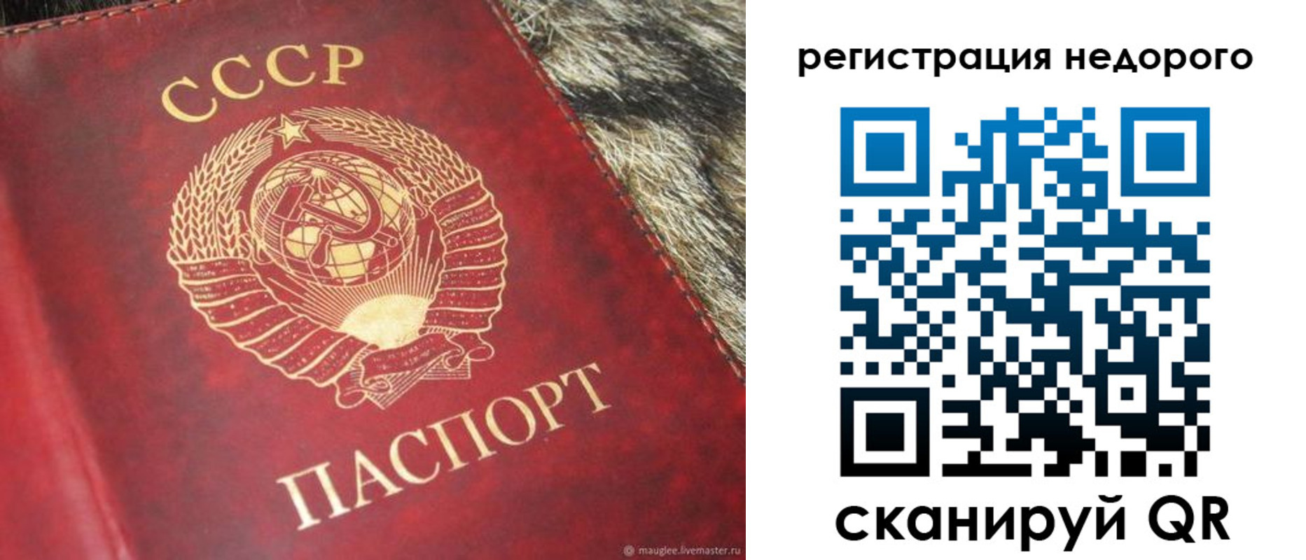 прописка ребенка в Острове
